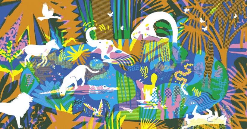 Top 3 <i>livres</i> jeunesse : Nos derniers<i> coups de cœur</i> - Doolittle