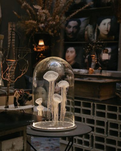 @Marta Puglia - Doolittle