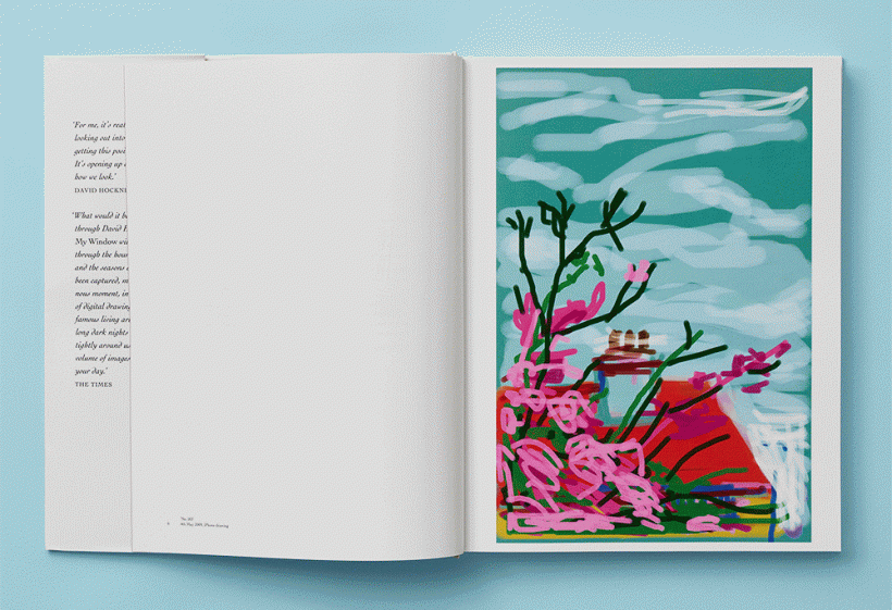 Le livre d&rsquo;art : <i>David Hockney. My Window</i> - Doolittle