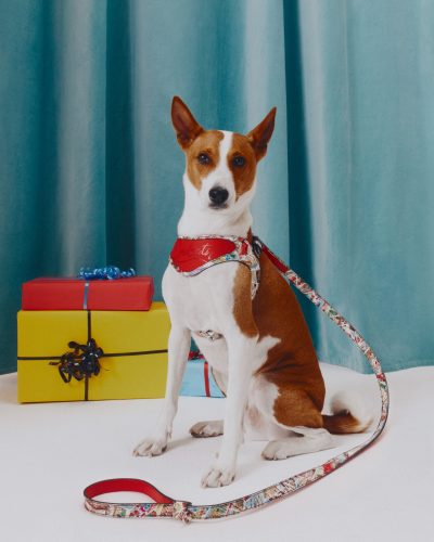 La <i>LoubiFamily</i> débarque chez <i> Christian Louboutin</i> - Doolittle