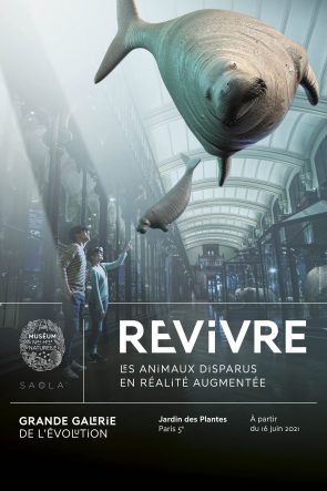 Revivre : les animaux <i>disparus</i> en réalité <i>augmentée</i> - Doolittle
