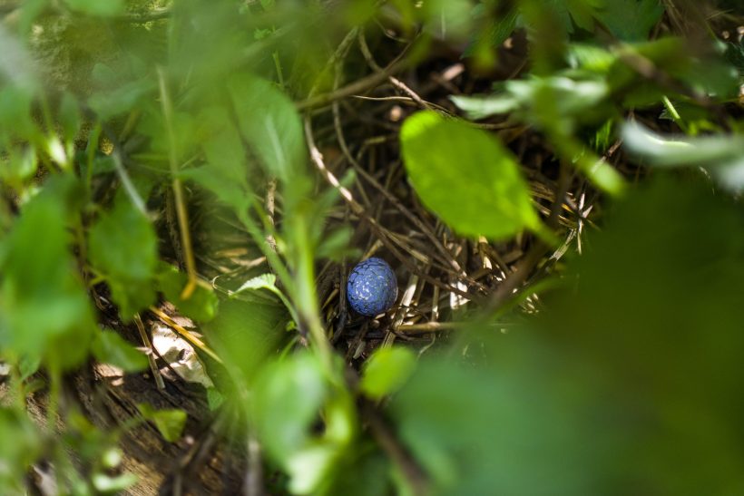 Chasse aux <i>œufs</i> et ateliers ludiques à la <i>Recyclerie</i> - Doolittle