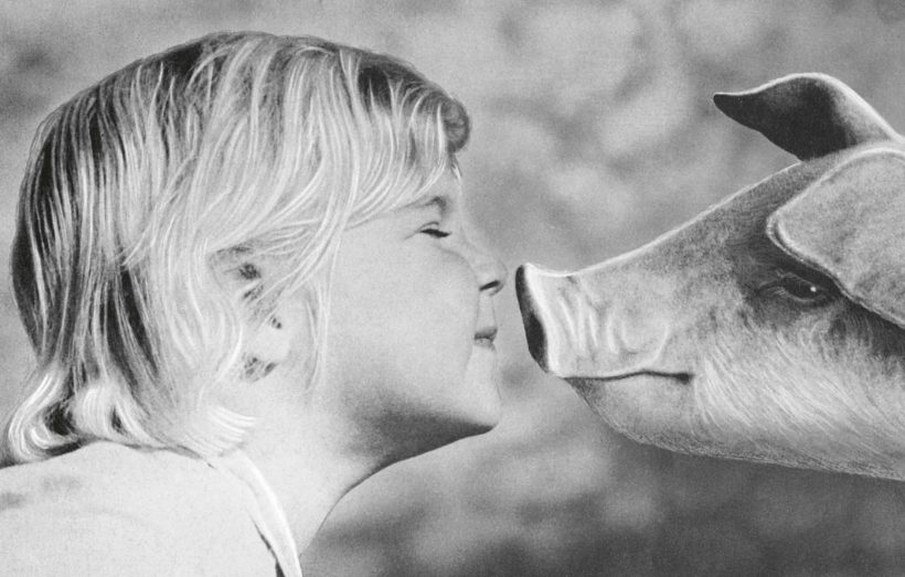 <i>Paulina</i> et moi : une histoire d&rsquo;<i>amitié</i> - Doolittle