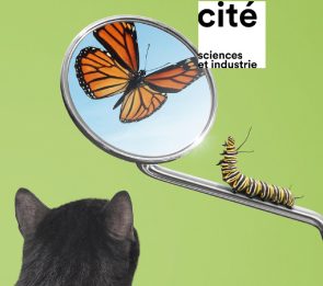 <i>Métamorphoses</i> l’exposition poétique et philosophique de la <i>Cité des sciences et de l’industrie</i> - Doolittle