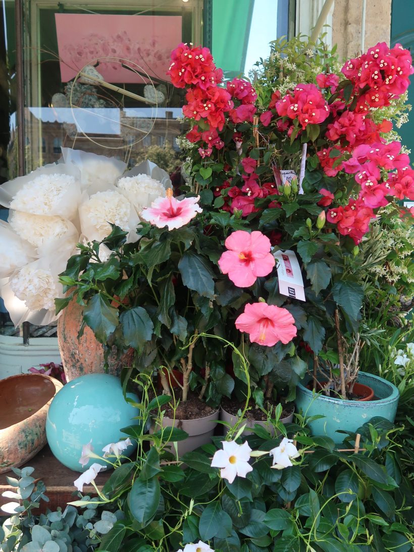 Sadia Fleurs - Doolittle