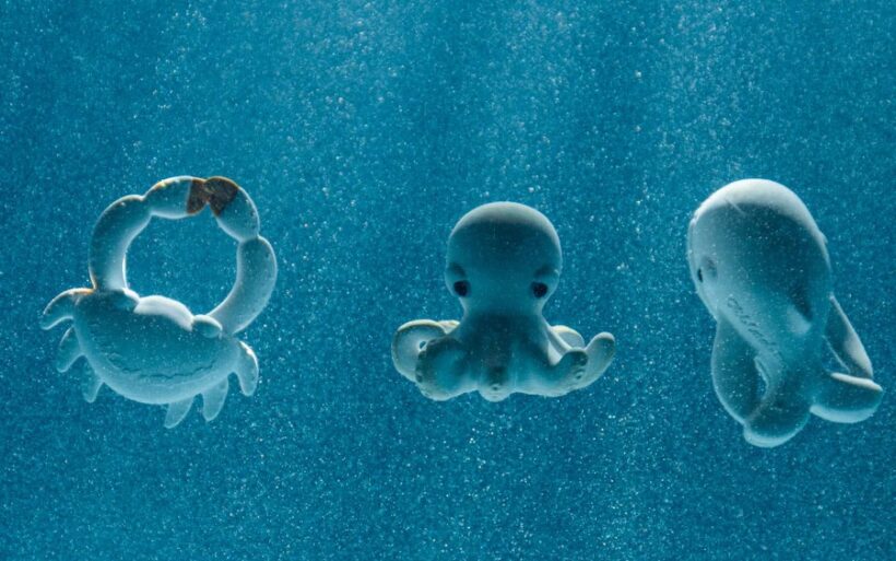 Le grand <i>bleu</i> d&rsquo;Oli&Carol et <i>BigStuffed</i> - Doolittle