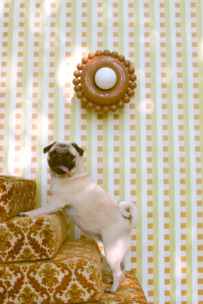 L&rsquo;applique murale <i>Luna</i> de <i>Bello et Bello</i> - Doolittle