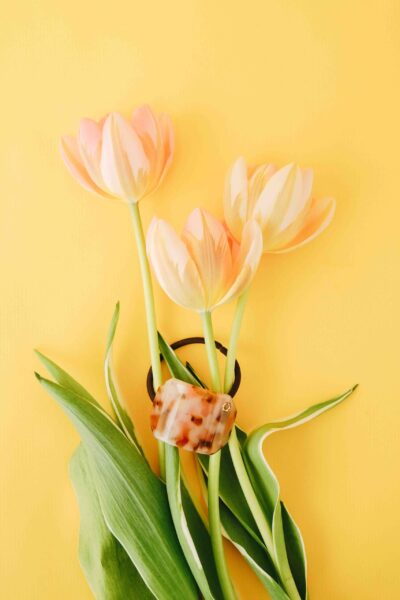 La collab&rsquo;  Little&tall & 23 <i>DEGRES</i> : un mariage <i>pétillant</i> - Doolittle