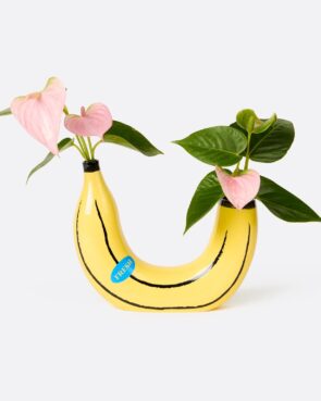 Le <I>vase</i> qui donne la banane <I>DOIY</i> - Doolittle