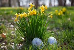 La plus grande <i>chasse</i> aux œufs d&rsquo;Ile-de-France au <i>Wow Safari Thoiry</i> - Doolittle