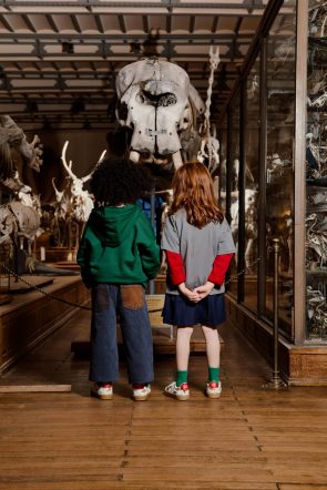 VEJA & le <i>Muséum d&rsquo;Histoire Naturelle</i> lancent une collab&rsquo; <i>jurassique</i> - Doolittle