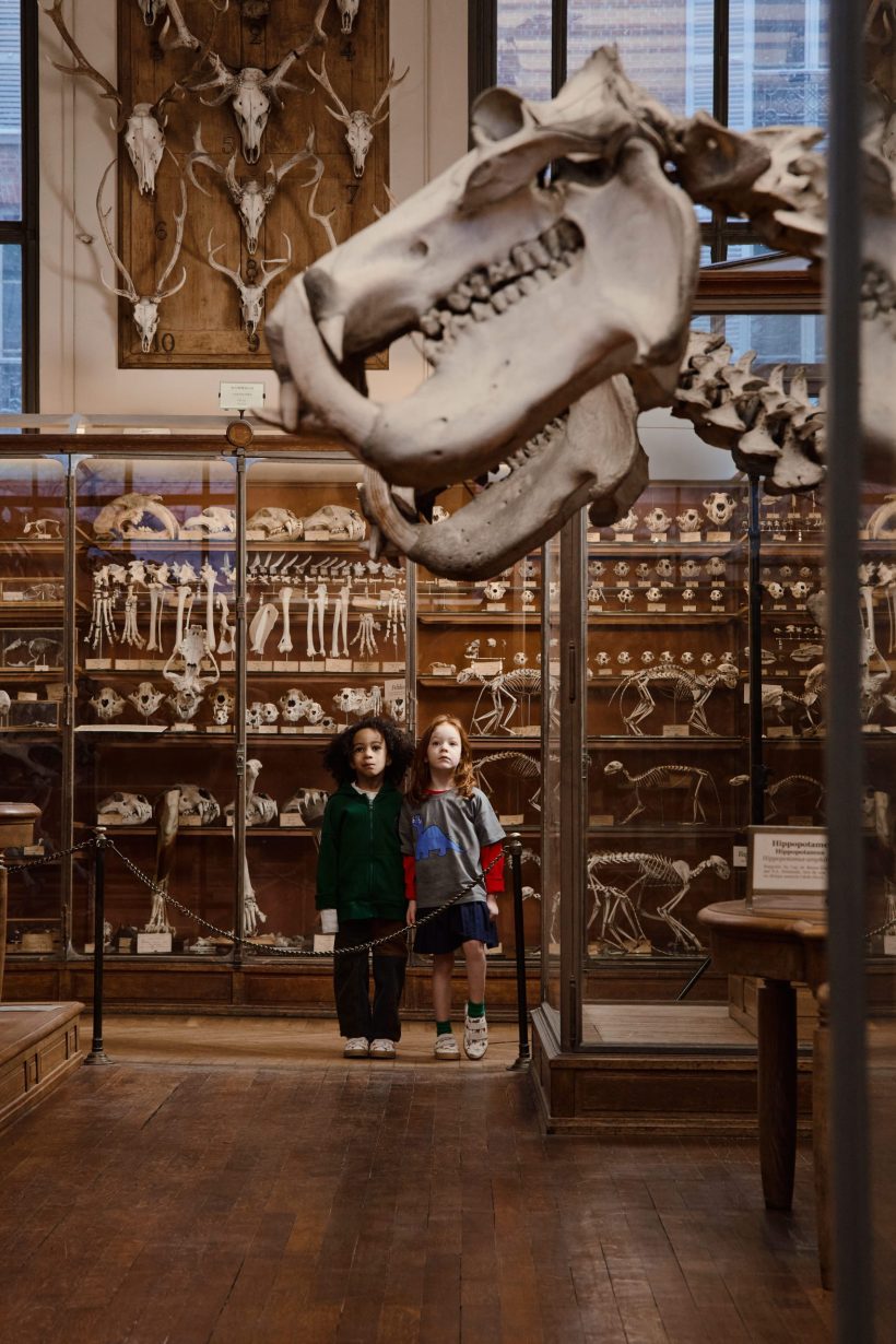 VEJA & le <i>Muséum d&rsquo;Histoire Naturelle</i> lancent une collab&rsquo; <i>jurassique</i> - Doolittle