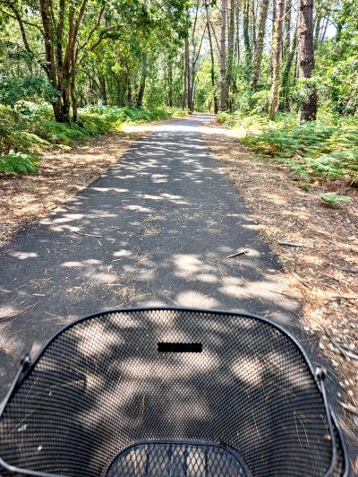 On a testé <i>Les Maritimes</i> à Seignosse : un week-end en famille entre pins, vélo et <i>océan</i> - Doolittle