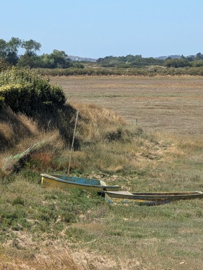 La balade attelée à Port-Bail - Doolittle