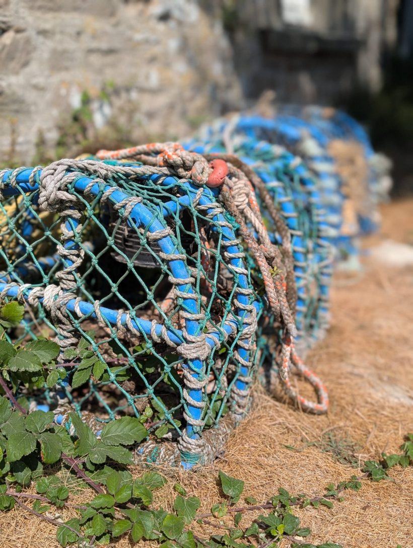 10 <i>bonnes raisons</i> d’embarquer toute la <i>tribu</i> pour un séjour dans le <i>Cotentin</i> - Doolittle