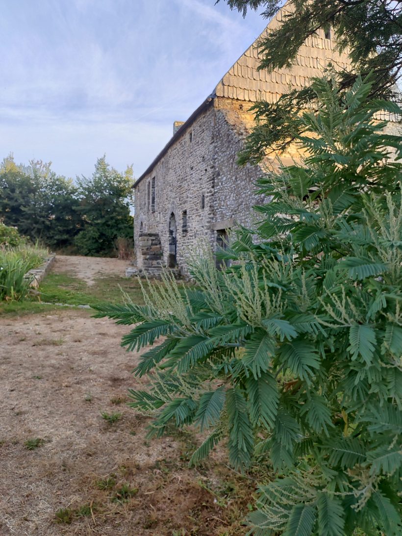 10 <i>bonnes raisons</i> d’embarquer toute la <i>tribu</i> pour un séjour dans le <i>Cotentin</i> - Doolittle