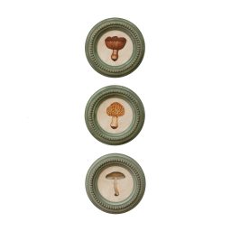 Chehoma - Set de 3 cadres champignons, 88€
