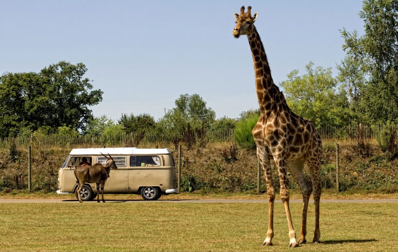 7 bonnes raisons de s&rsquo;offrir une escapade à <i>Planète Sauvage</i> - Doolittle